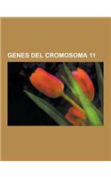 Genes del Cromosoma 11: Hemoglobina, Insulina, Rela, Pde3, Myod, Arntl, Zbtb16, Ciclina D1, Ferritina, Receptor de Melatonina 1b, Tirosina Hid(Spanish)