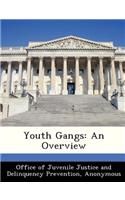 Youth Gangs