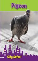 Pigeon: City Safari(City Safari)