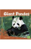 Giant Pandas