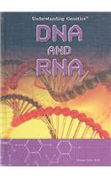 DNA and RNA