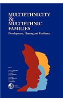 Multiethnicity And Multiethnic Families