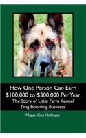 How One Person Can Earn $100,000 to $300,000 Per Year