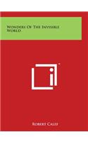 Wonders Of The Invisible World