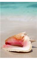 A Lovely Queen Conch Shell on the Beach Journal: 150 Page Lined Notebook/Diary