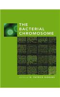 Bacterial Chromosome