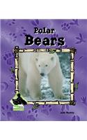 Polar Bears