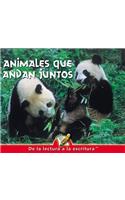 Animales Que Andan Juntos: Animals Together