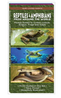 Reptiles & Amphibians from Around the World
