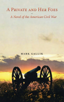 Private and Her Foes: A Novel of the American Civil War