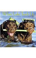 What Labs Teach Us 2018 Calendar: Lifes Lessons from Our Best Friends