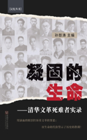 凝固的生命
