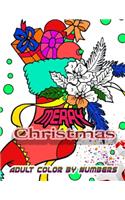 Merry Christmas Adult Color By Numbers