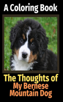 The Thoughts of My Bernese Mountain Dog