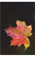 Single Multi Colored Maple Tree Leaf Journal: Take Notes, Write Down Memories in this 150 Page Lined Journal