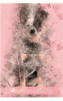 Australian Cattle Dog