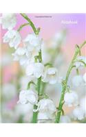 Notebook: Ruled, Blank Notebook, 110 Pages, (8.5 by 11 Inches) Peach and Pink Flowers (8.5 X 11 inches, Wide Ruled)