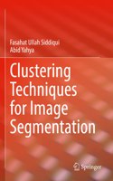Clustering Techniques for Image Segmentation
