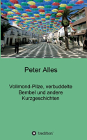 Vollmond-Pilze, verbuddelte Bembel und andere Kurzgeschichten