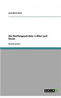 Die Sintflutgeschichte in Bibel und Koran