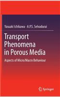 Transport Phenomena in Porous Media