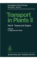 Transport in Plants II