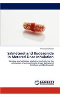 Salmeterol and Budesonide in Metered Dose Inhalation