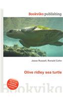 Olive Ridley Sea Turtle: (English)