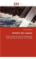 Gestion Des Risques
