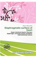 Diaphragmatic Surface of Heart