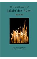 The Mathnawi of Jalaludin Rumi - Book 6