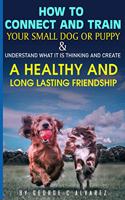 How to connect and train your small dog or puppy and understand what it is thinking and create a healthy and long lasting friendship