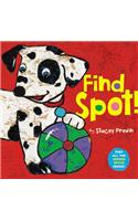 Find Spot!