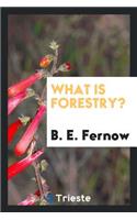 What Is Forestry?