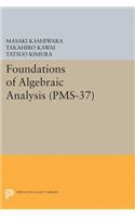 Foundations of Algebraic Analysis