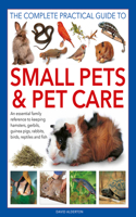 Small Pets and Pet Care, The Complete Practical Guide to: An Essential Family Reference to Keeping Hamsters, Gerbils, Guinea Pigs, Rabbits, Birds, Reptiles and Fish
