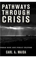 Pathways through Crisis: Urban Risk and Public Culture