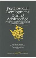 Psychosocial Development During Adolescence