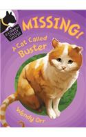 Missing! A Cat Called Buster: (02 Rainbow Street Shelter (Hardcover))