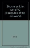 The Structures Of The Life World