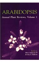 Arabidopsis