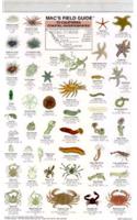 Mac's Field Guides: California Coastal Invertebrates
