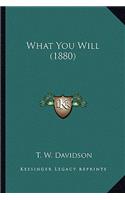 What You Will (1880)