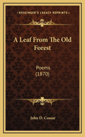 A Leaf From The Old Forest