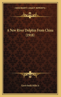 New River Dolphin From China (1918)