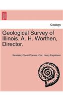 Geological Survey of Illinois. A. H. Worthen, Director.