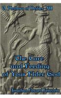 The Care and Feding of Your Elder God