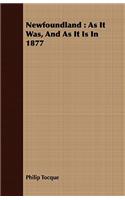 Newfoundland: As It Was, And As It Is In 1877(English)