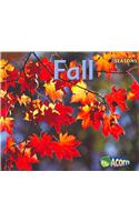 Fall