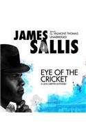 Eye of the Cricket